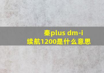 秦plus dm-i续航1200是什么意思